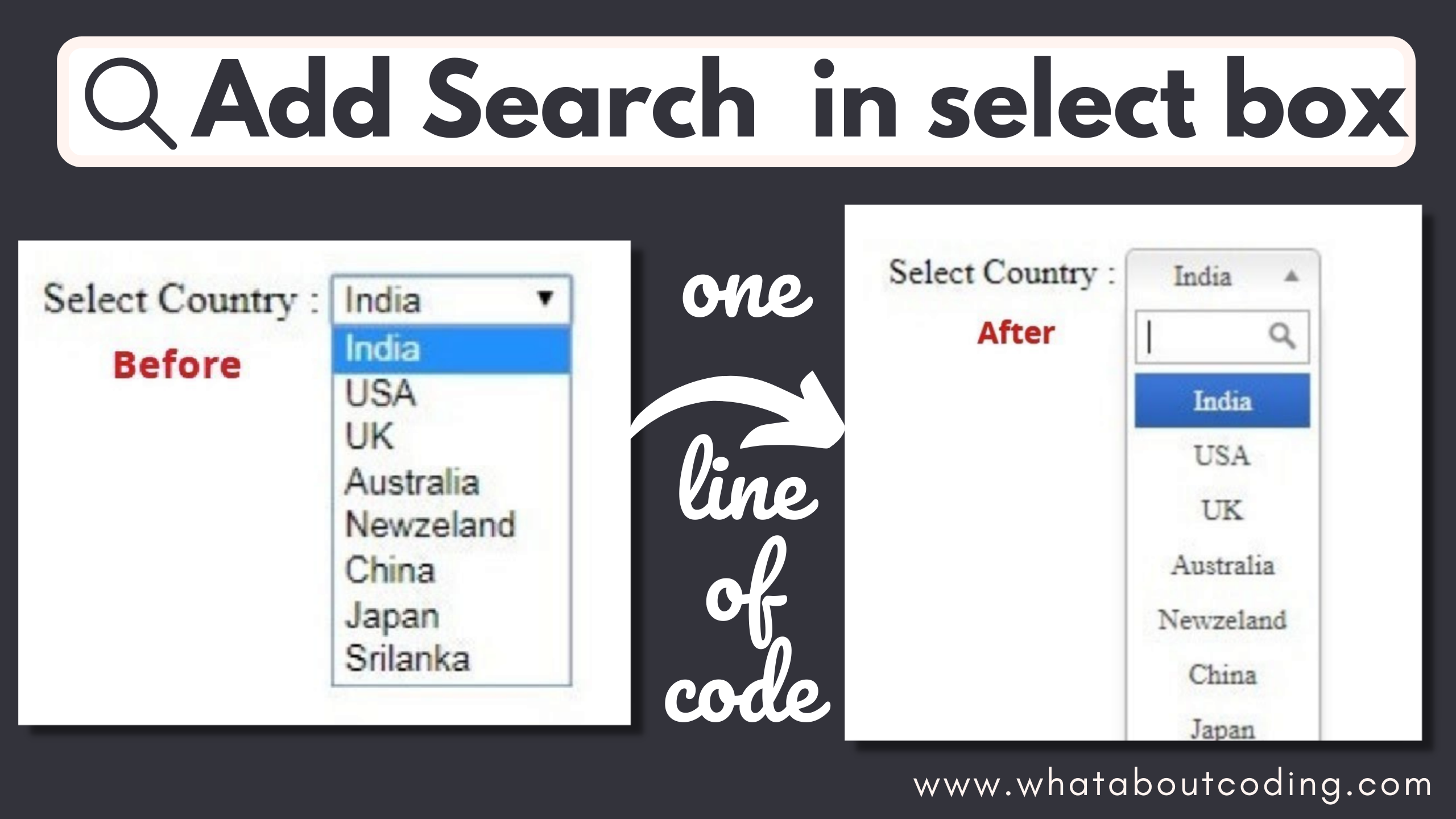 create a dropdown with search bar